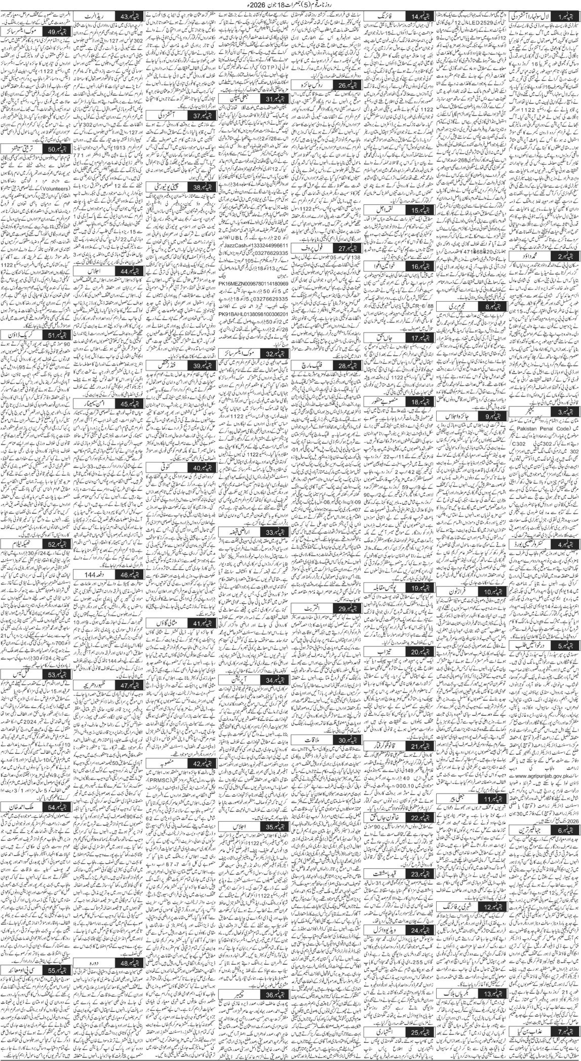 Page 5