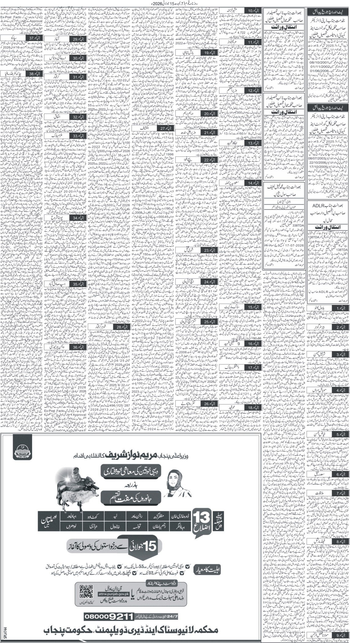Page 7