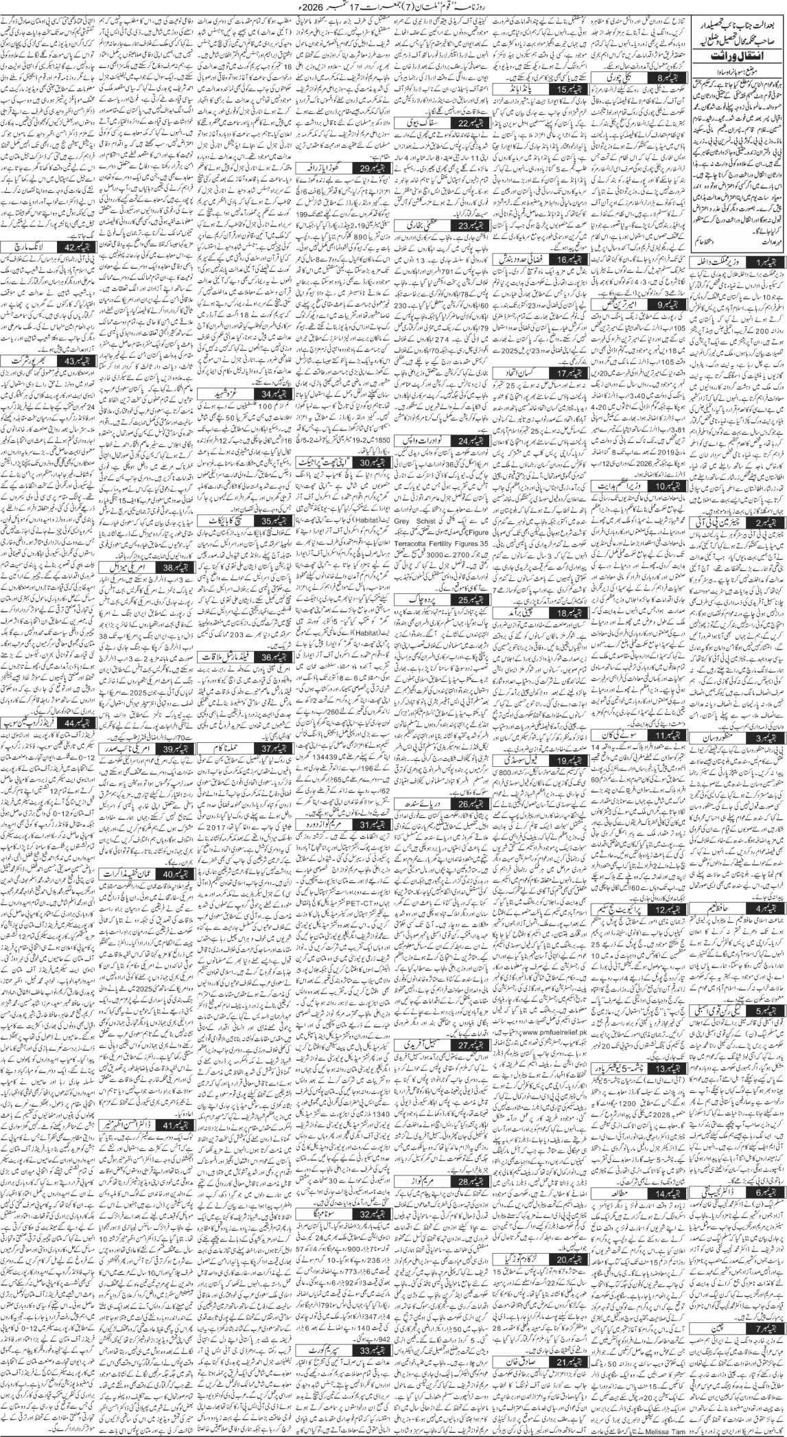 Page 7