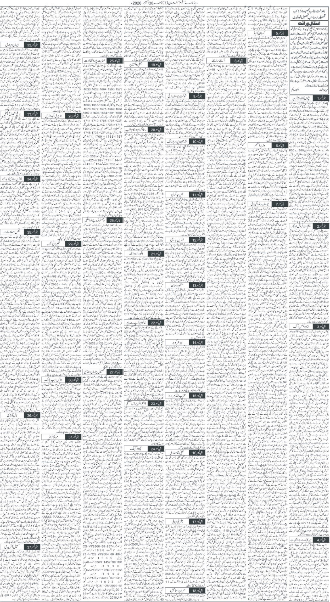 Page 7